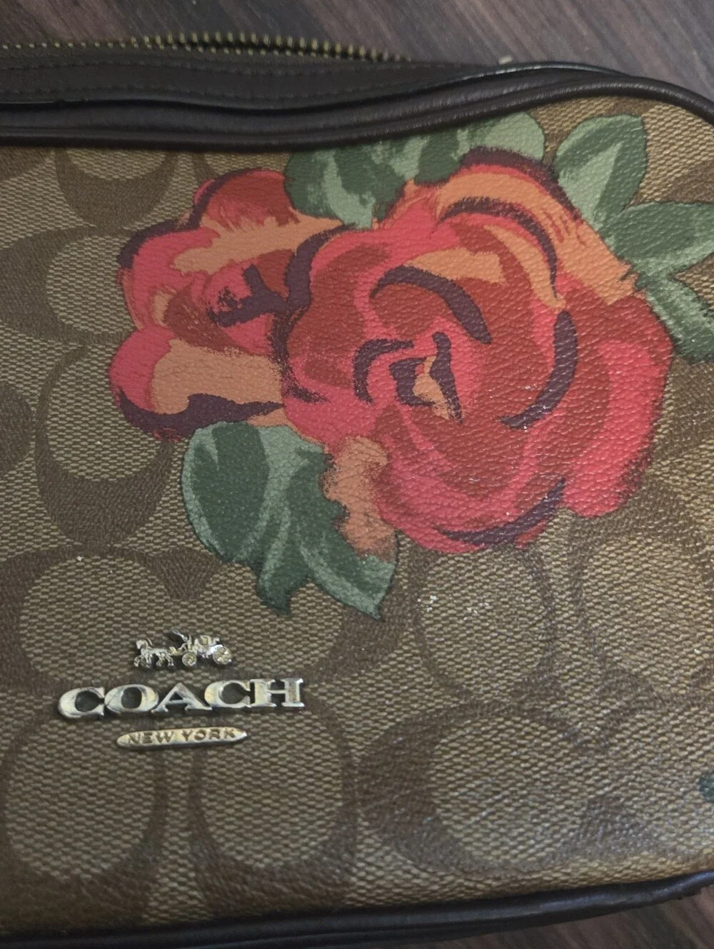 Coach Isla Chain Crossbody in Signature Canvas with Jumbo Floral Print